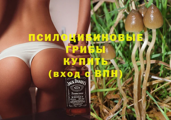 винт Бронницы