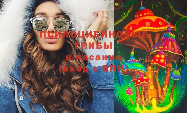 винт Бронницы