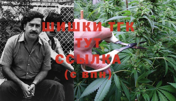 винт Бронницы