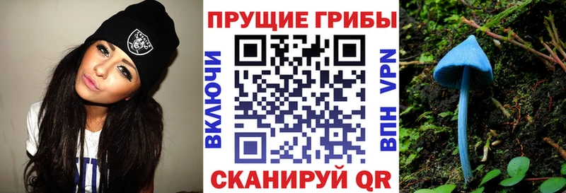 цены наркотик Гулькевичи Псилоцибиновые грибы мицелий